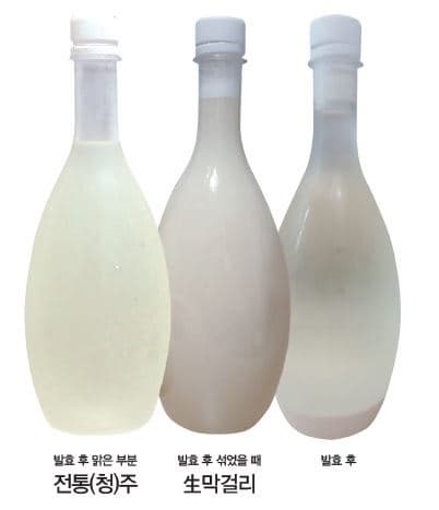 DIY Korean Rice Wine Makgeolli